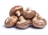 Mushroom Powder by CC360