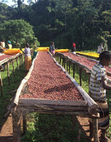 Ethiopian Coffee 3oz