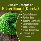 KARELA (Bitter Melon/Bitter Gourd) Powder - 200 grams