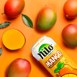Nilo Tropical Mango Juice Drink w/ Pulp 16.57