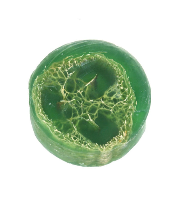 Moringa Loofah Soap