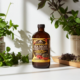 Bladderwrack, Sea Moss & Beet Root Tonic 16 oz