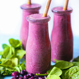 Java Juice Elderberry Smoothie Mix