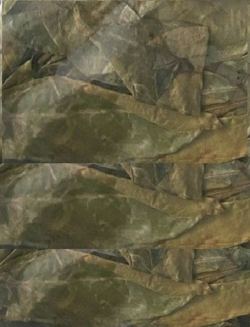 Premium Organic Soursop Leaves